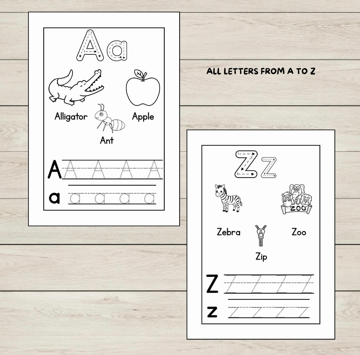 Alphabetic Phonics Activity Sheets