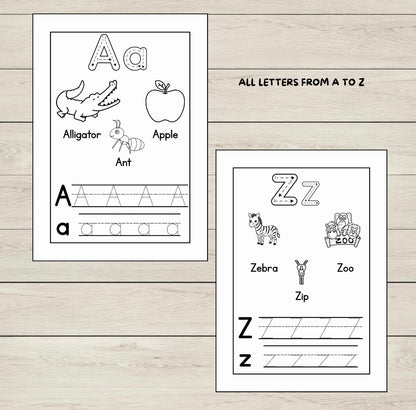 Alphabetic Phonics Activity Sheets