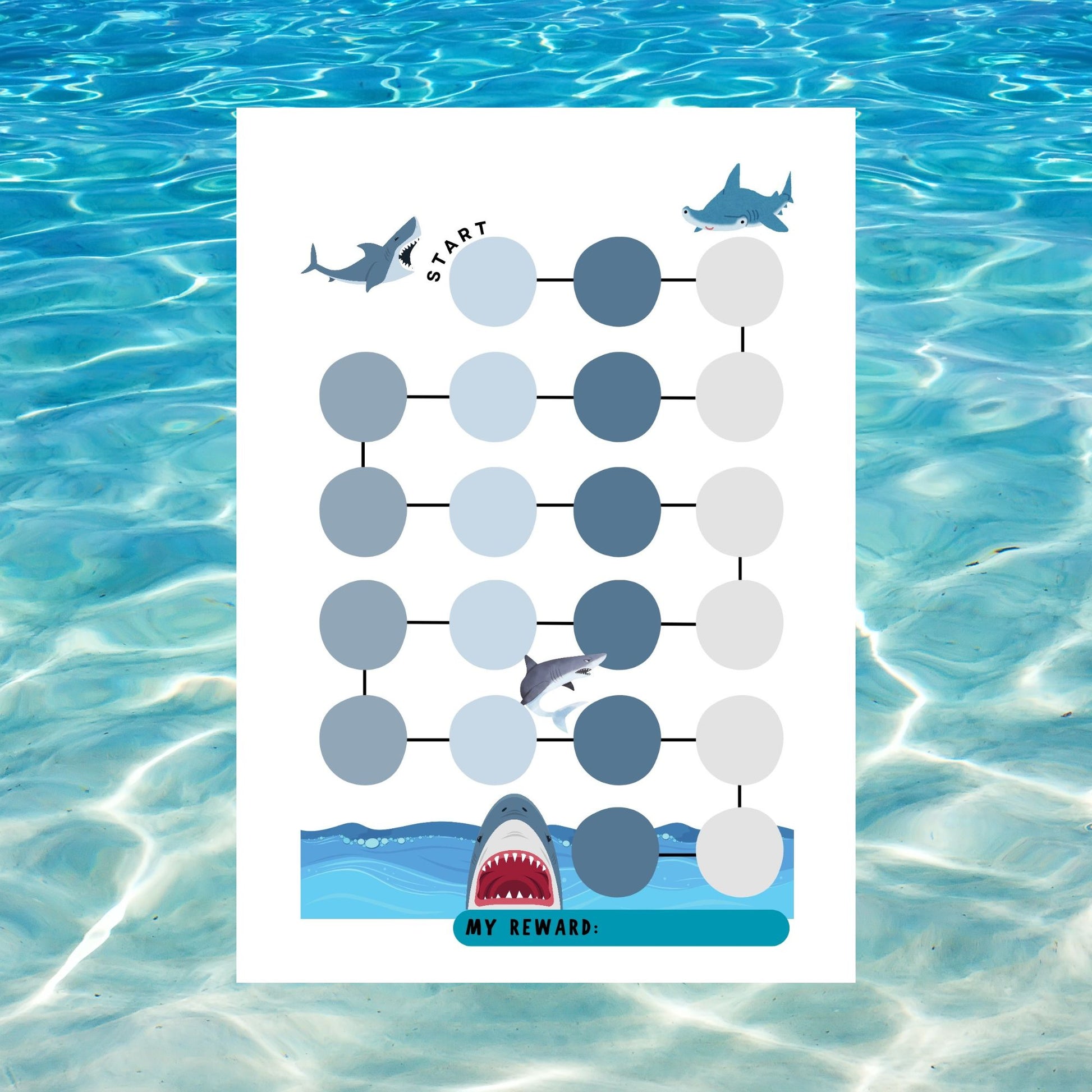 sharks reward chart pdf